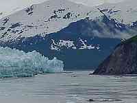 Alaskan Fjord